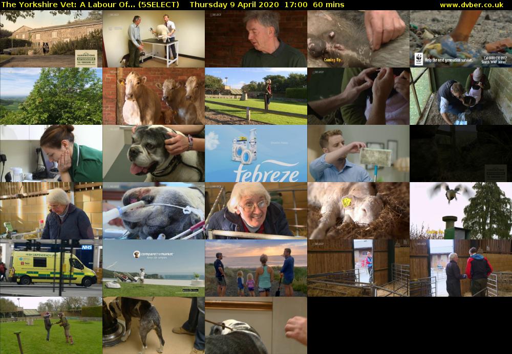 The Yorkshire Vet: A Labour Of... (5SELECT) Thursday 9 April 2020 17:00 - 18:00