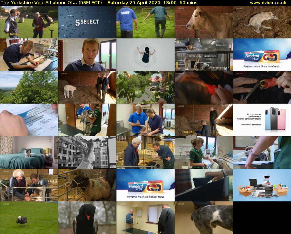 The Yorkshire Vet: A Labour Of... (5SELECT) Saturday 25 April 2020 18:00 - 19:00