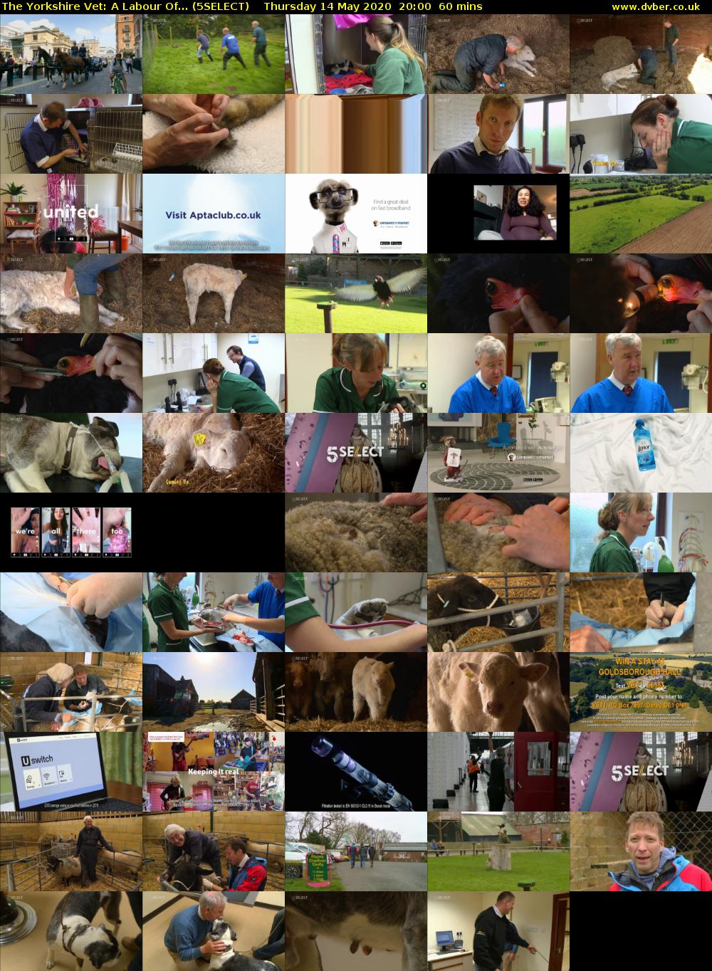 The Yorkshire Vet: A Labour Of... (5SELECT) Thursday 14 May 2020 20:00 - 21:00