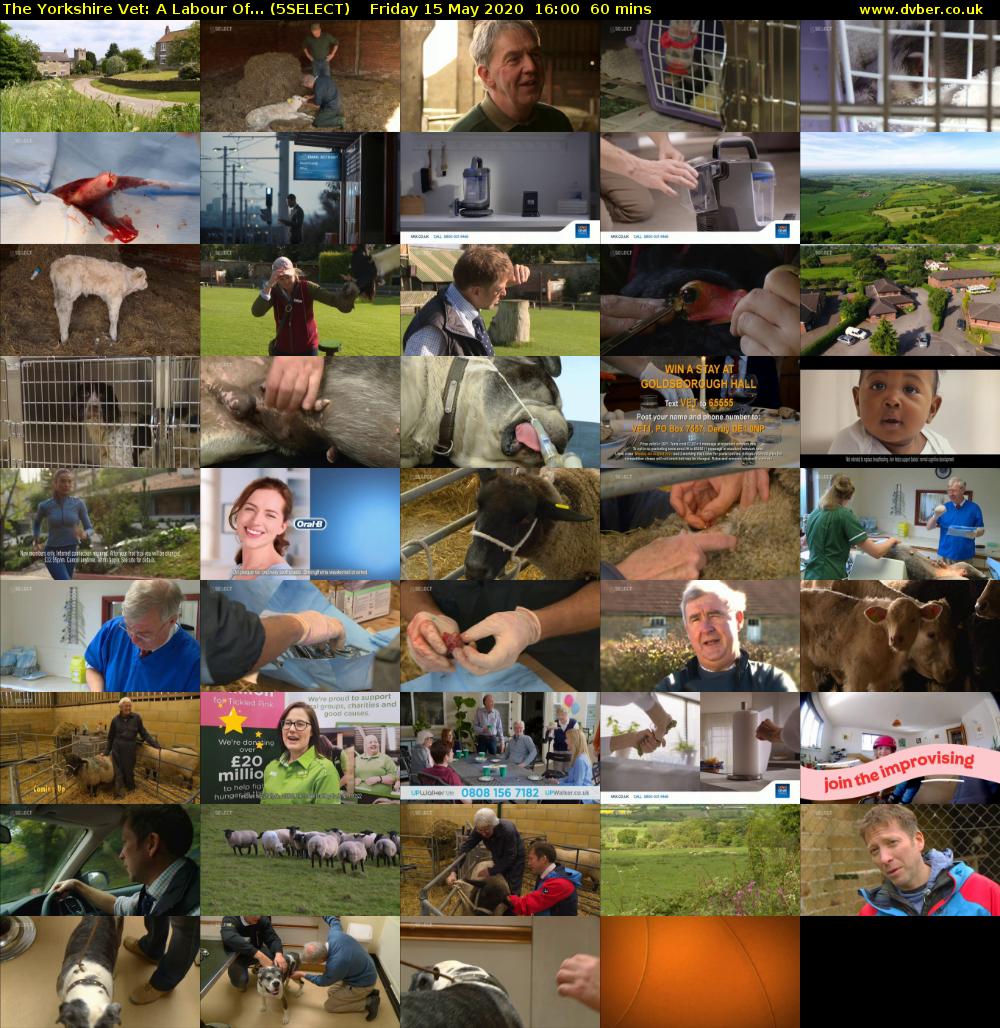 The Yorkshire Vet: A Labour Of... (5SELECT) Friday 15 May 2020 16:00 - 17:00