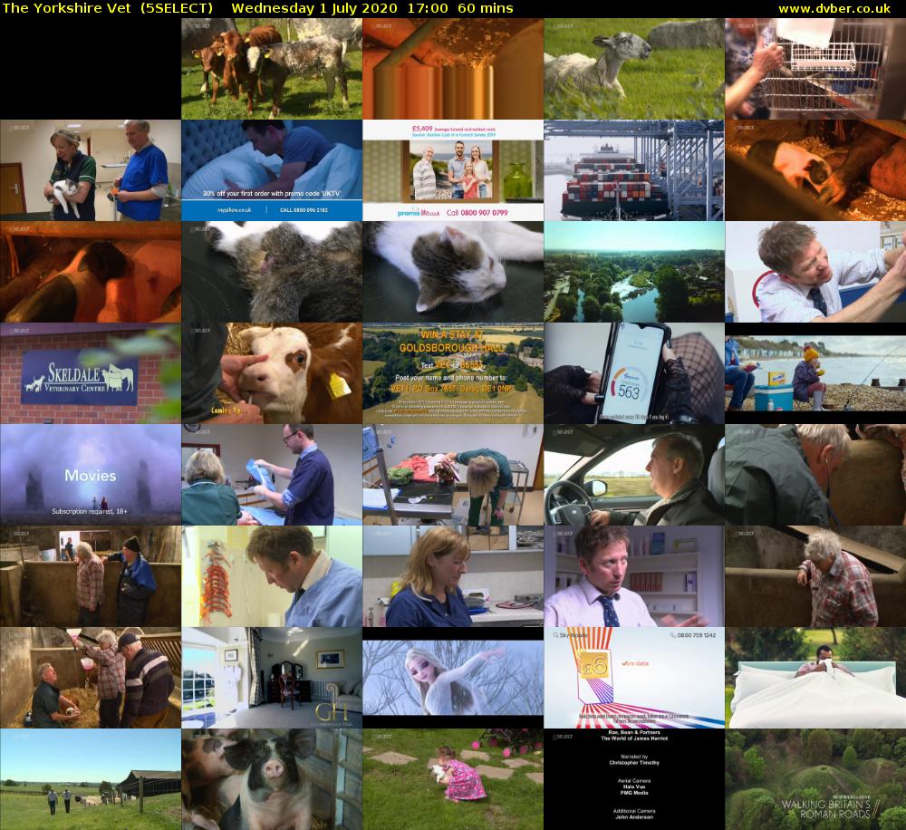 The Yorkshire Vet  (5SELECT) Wednesday 1 July 2020 17:00 - 18:00