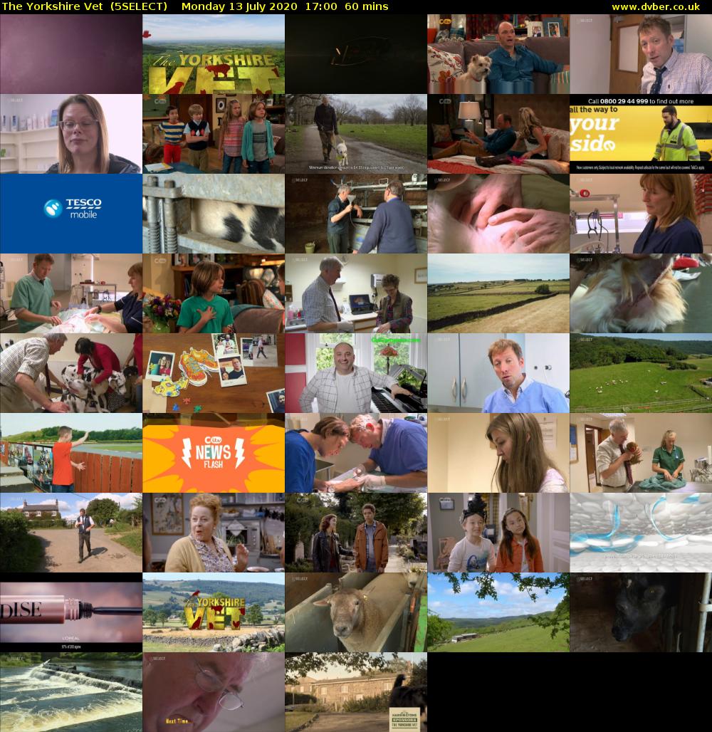 The Yorkshire Vet  (5SELECT) Monday 13 July 2020 17:00 - 18:00