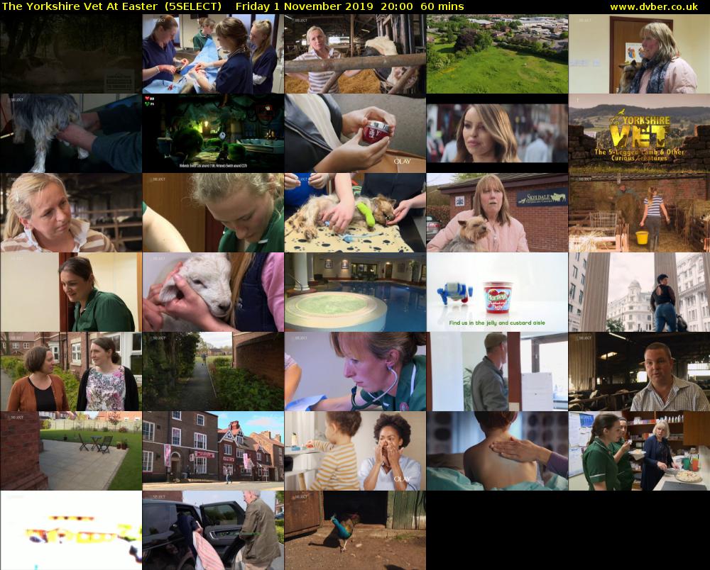 The Yorkshire Vet At Easter  (5SELECT) Friday 1 November 2019 20:00 - 21:00