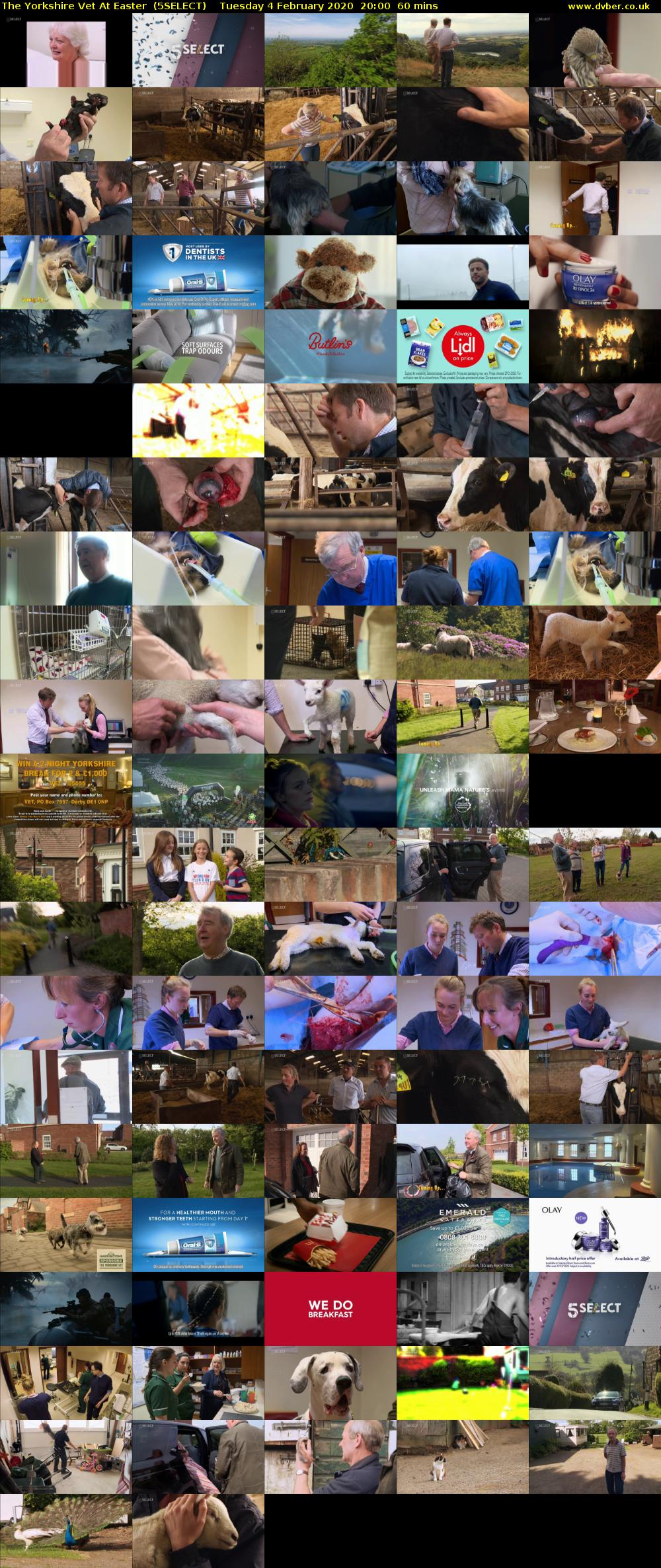 The Yorkshire Vet At Easter  (5SELECT) Tuesday 4 February 2020 20:00 - 21:00
