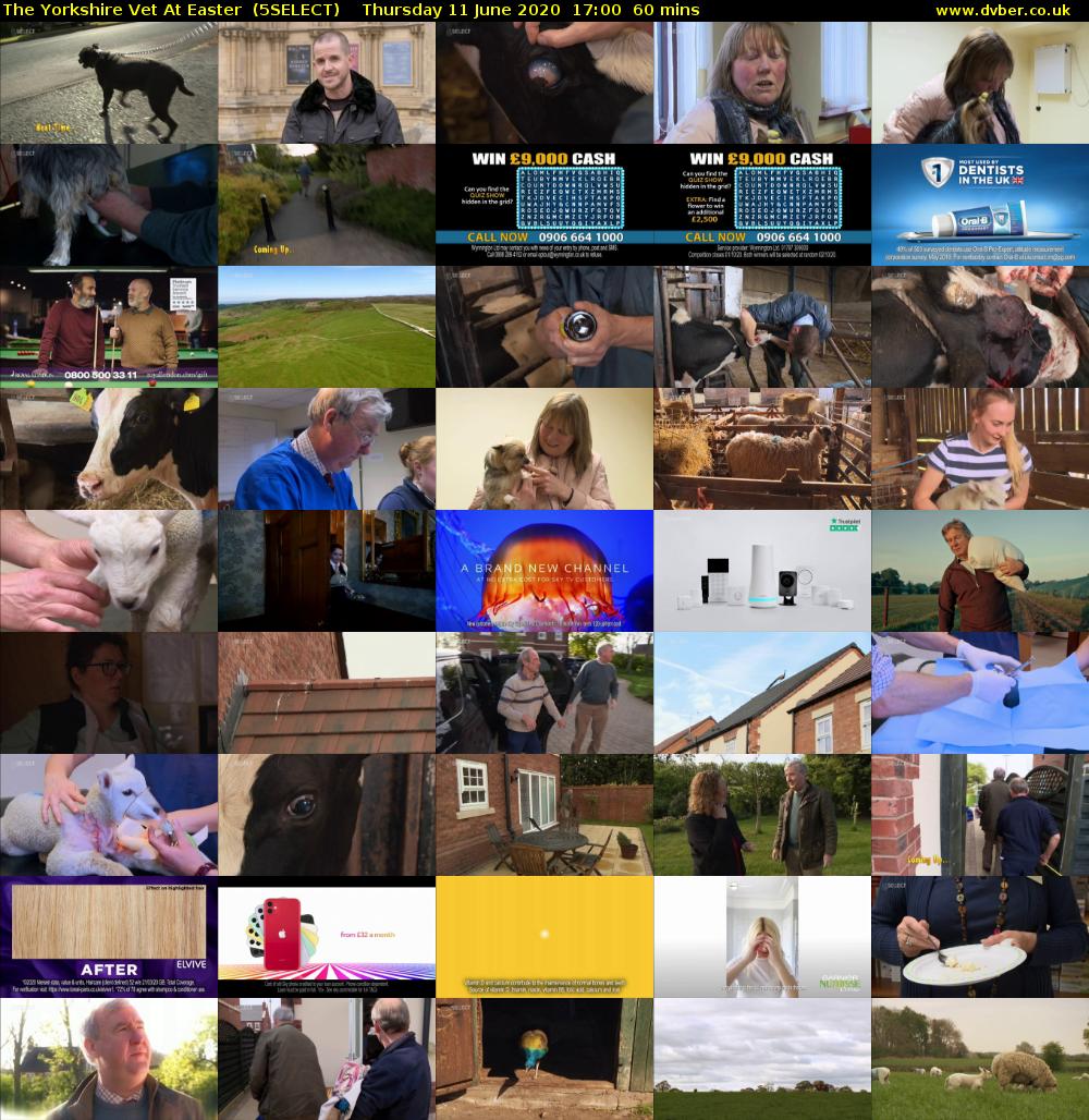 The Yorkshire Vet At Easter  (5SELECT) Thursday 11 June 2020 17:00 - 18:00