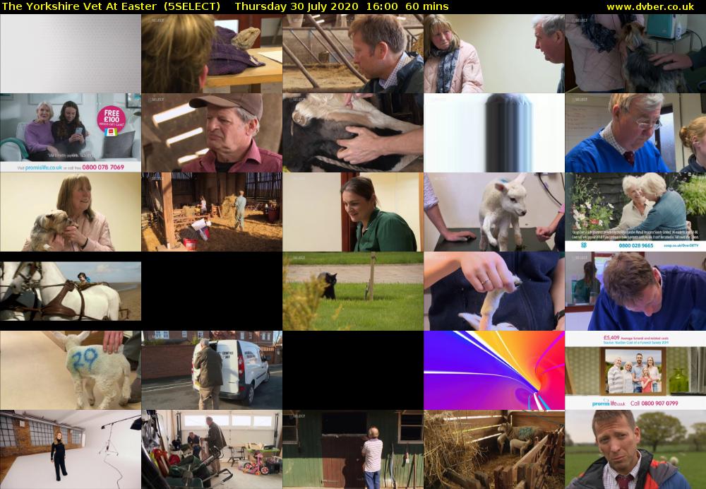The Yorkshire Vet At Easter  (5SELECT) Thursday 30 July 2020 16:00 - 17:00
