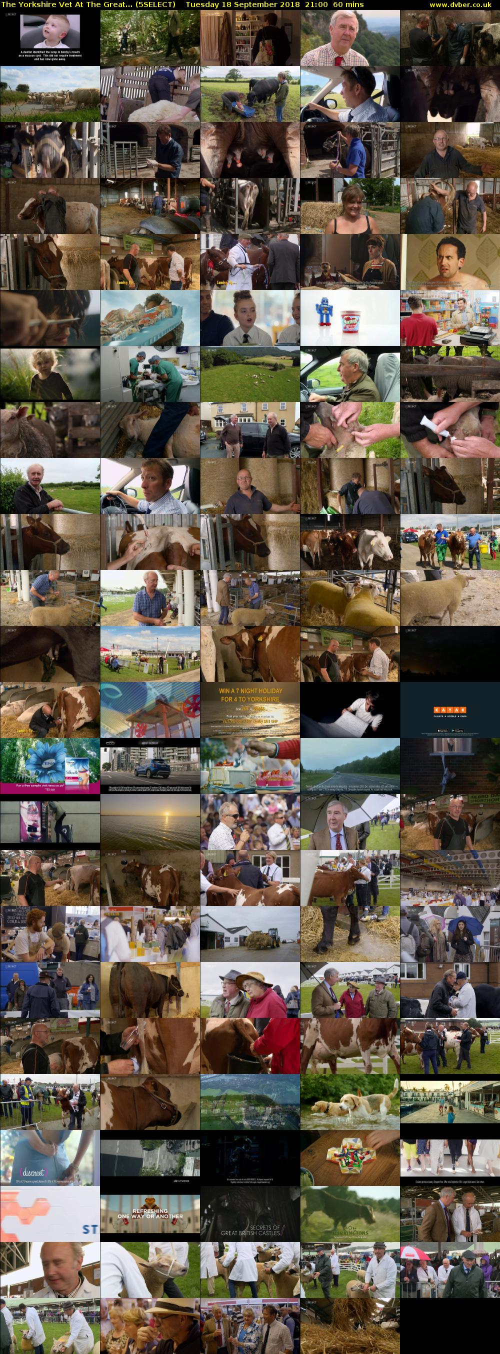 The Yorkshire Vet At The Great... (5SELECT) Tuesday 18 September 2018 21:00 - 22:00