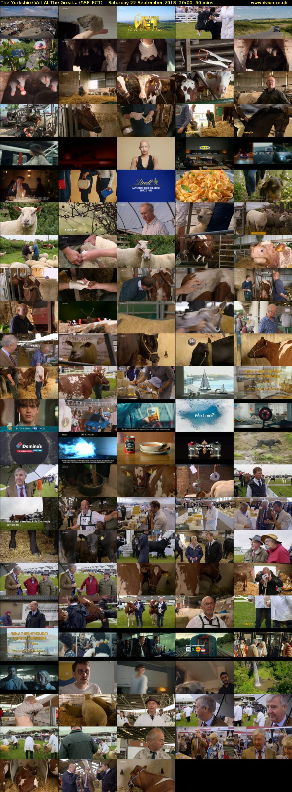 The Yorkshire Vet At The Great... (5SELECT) Saturday 22 September 2018 20:00 - 21:00