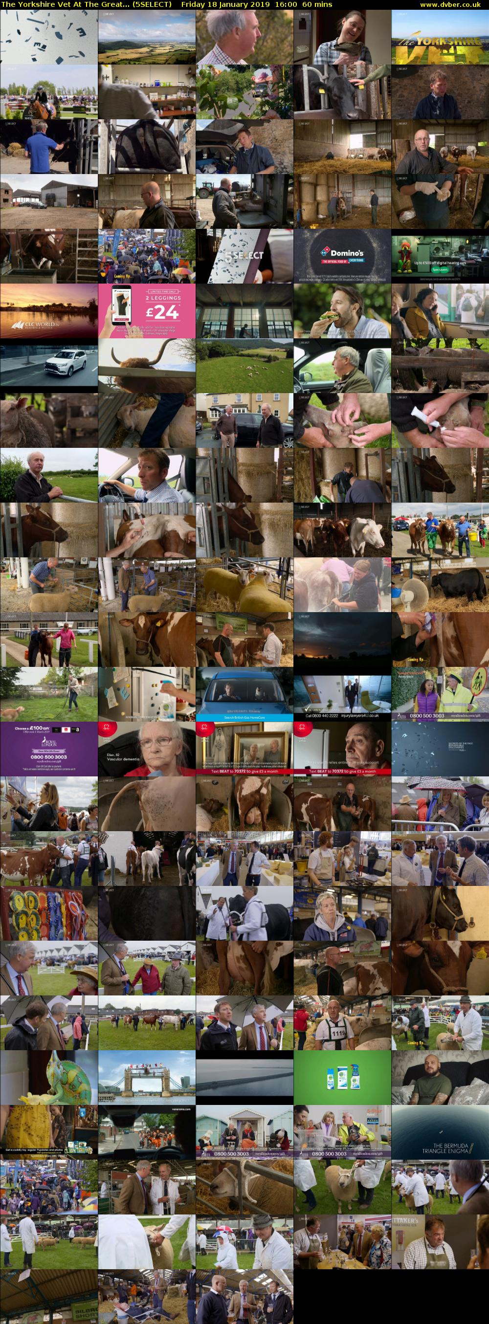 The Yorkshire Vet At The Great... (5SELECT) Friday 18 January 2019 16:00 - 17:00