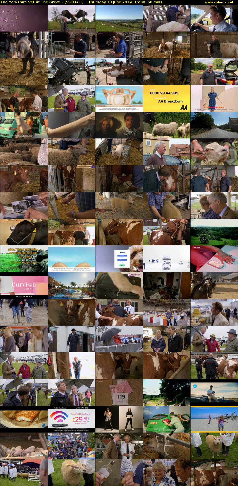 The Yorkshire Vet At The Great... (5SELECT) Thursday 13 June 2019 16:00 - 17:00