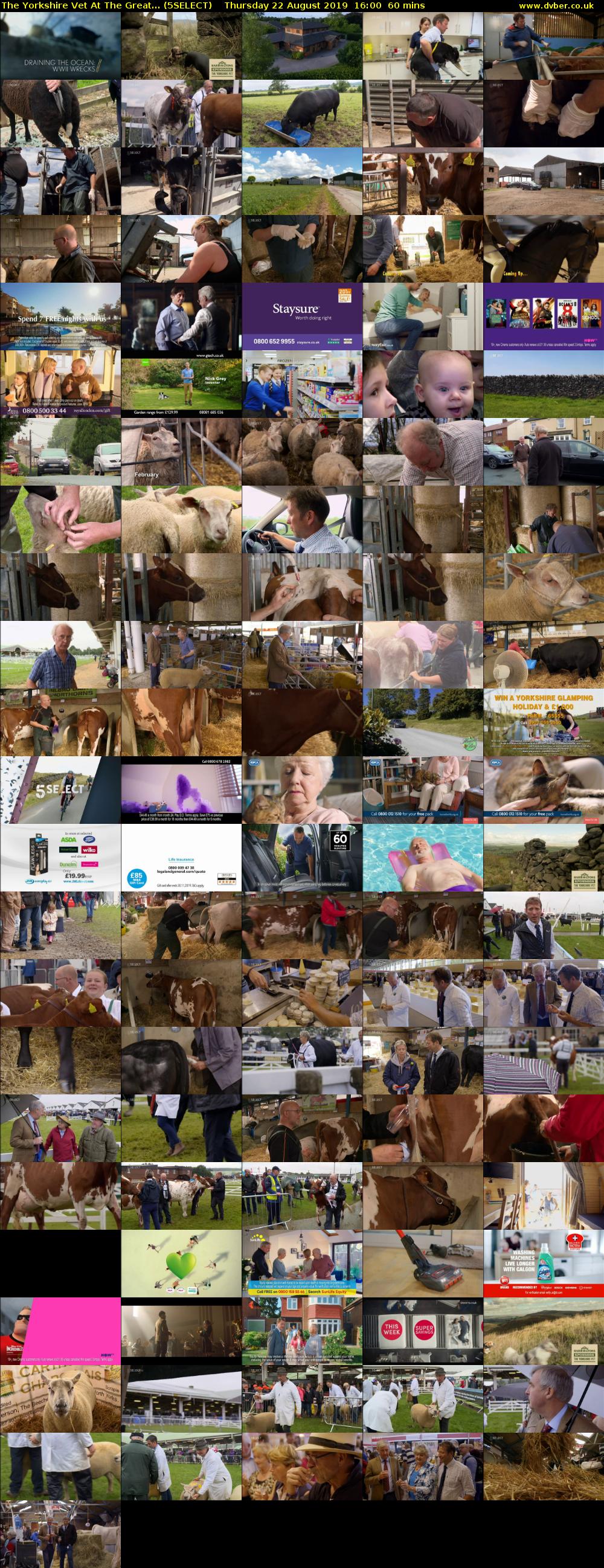 The Yorkshire Vet At The Great... (5SELECT) Thursday 22 August 2019 16:00 - 17:00