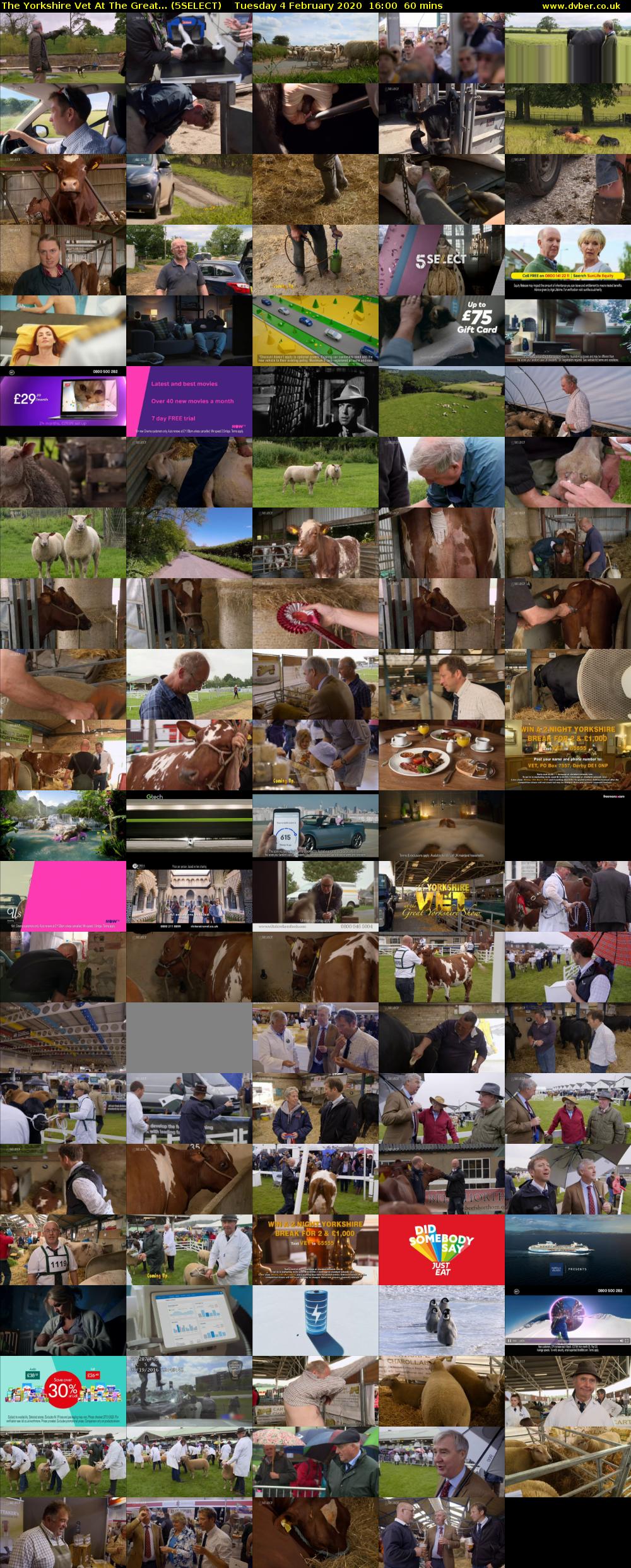 The Yorkshire Vet At The Great... (5SELECT) Tuesday 4 February 2020 16:00 - 17:00