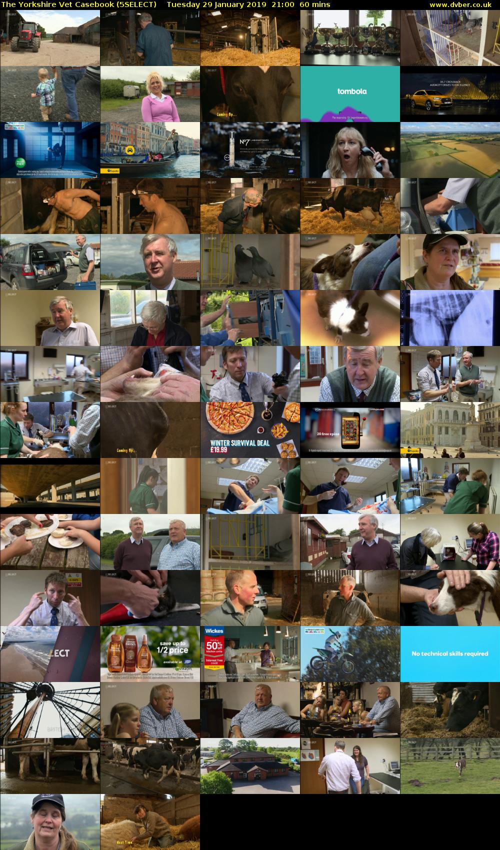 The Yorkshire Vet Casebook (5SELECT) Tuesday 29 January 2019 21:00 - 22:00