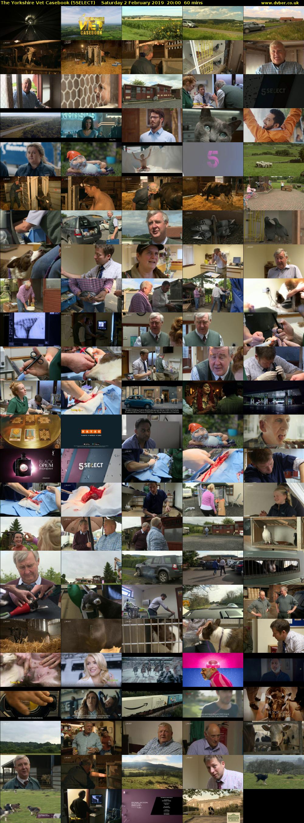 The Yorkshire Vet Casebook (5SELECT) Saturday 2 February 2019 20:00 - 21:00