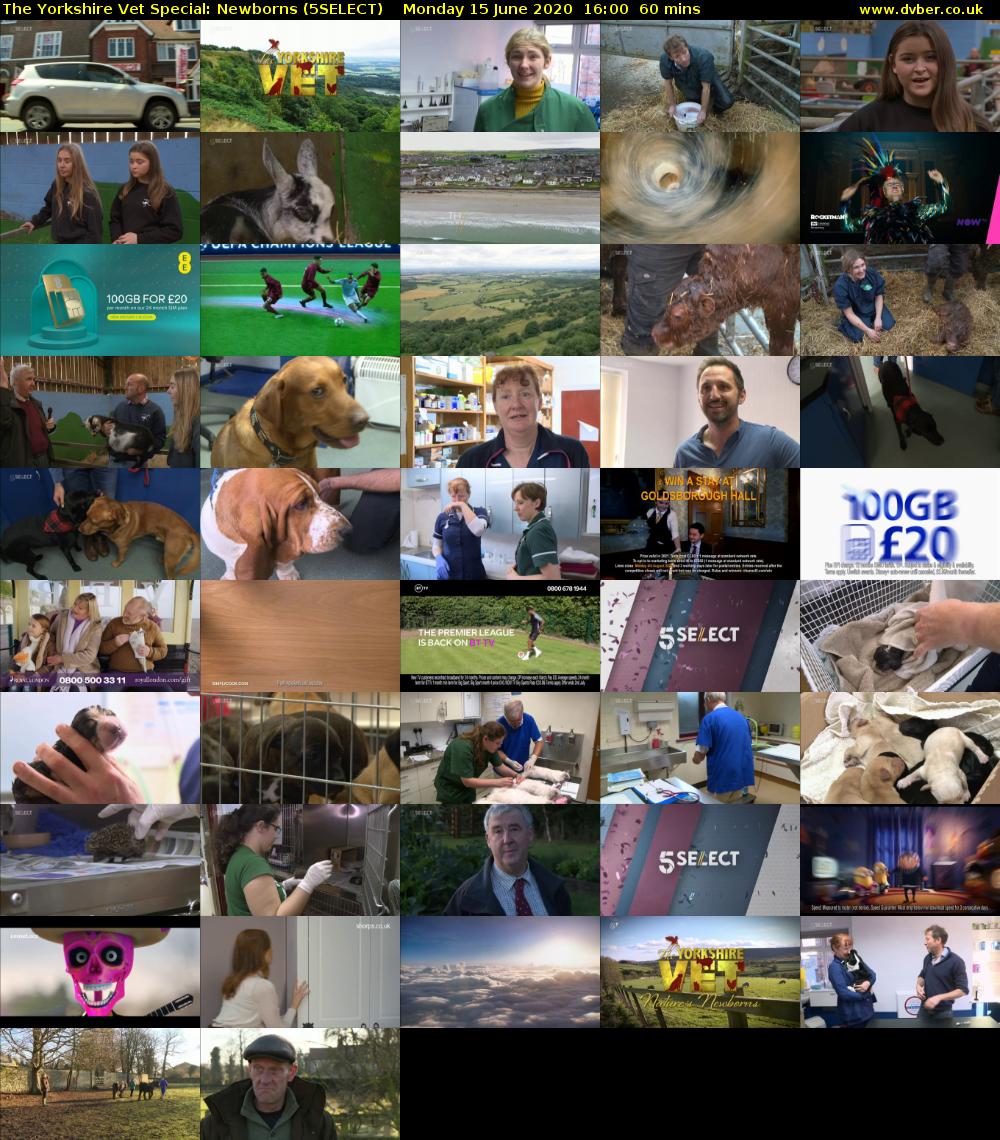 The Yorkshire Vet Special: Newborns (5SELECT) Monday 15 June 2020 16:00 - 17:00