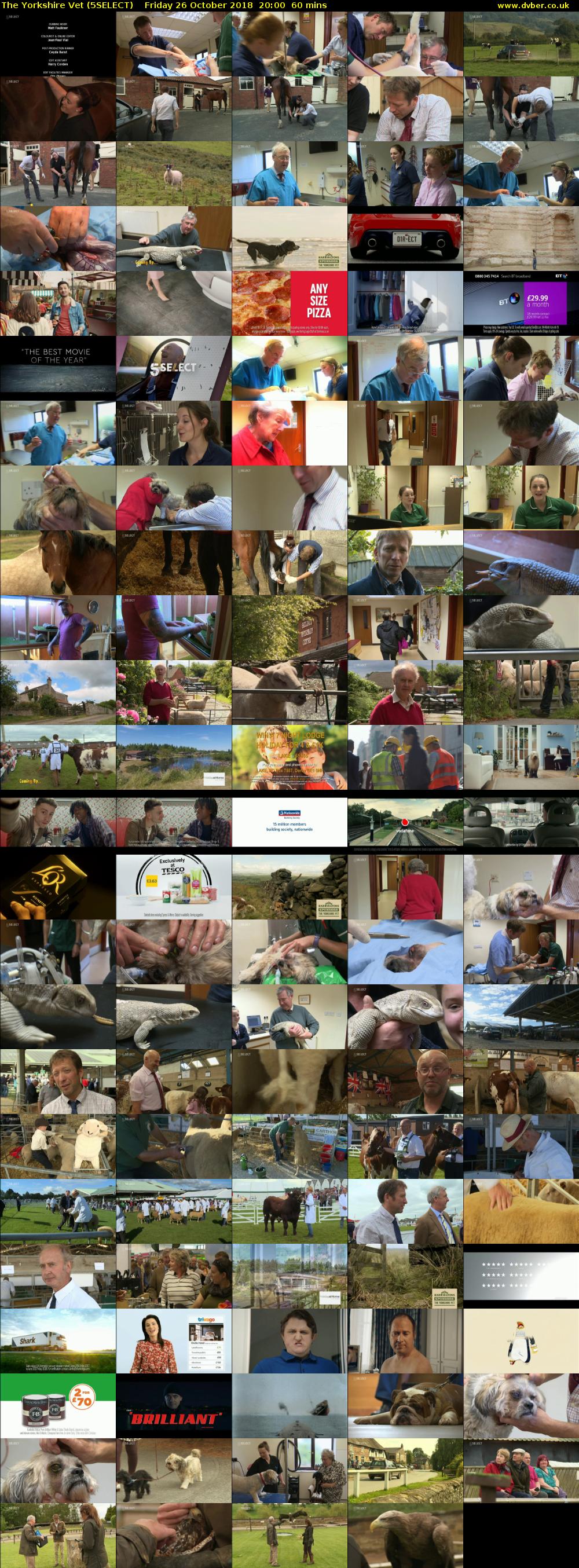 The Yorkshire Vet (5SELECT) Friday 26 October 2018 20:00 - 21:00