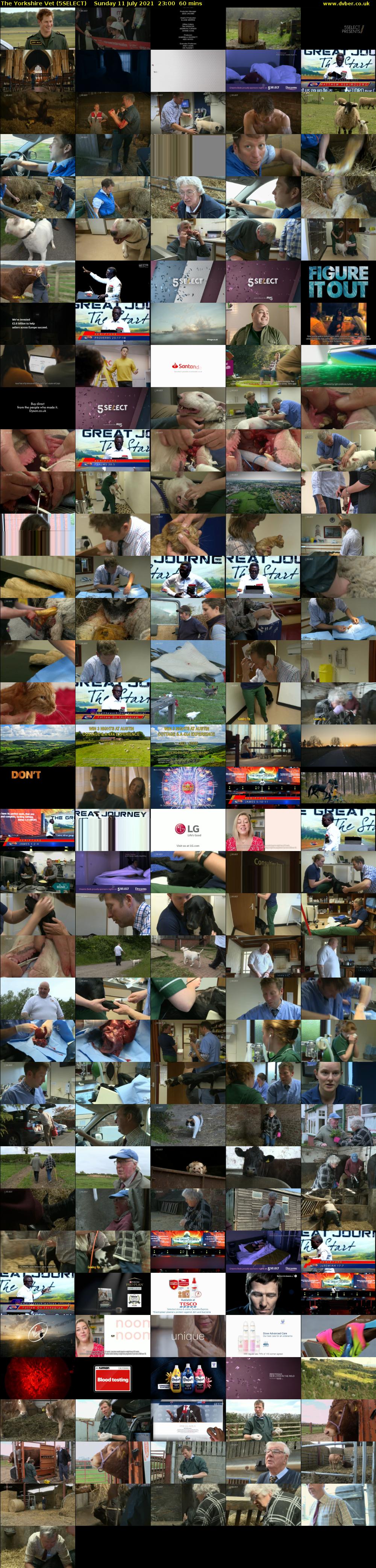 The Yorkshire Vet (5SELECT) Sunday 11 July 2021 23:00 - 00:00