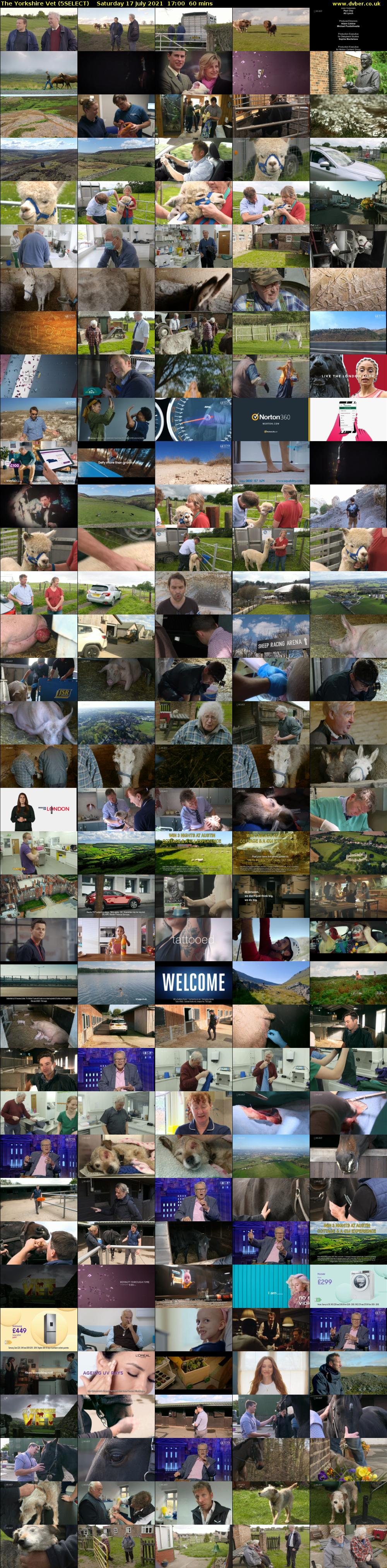 The Yorkshire Vet (5SELECT) Saturday 17 July 2021 17:00 - 18:00