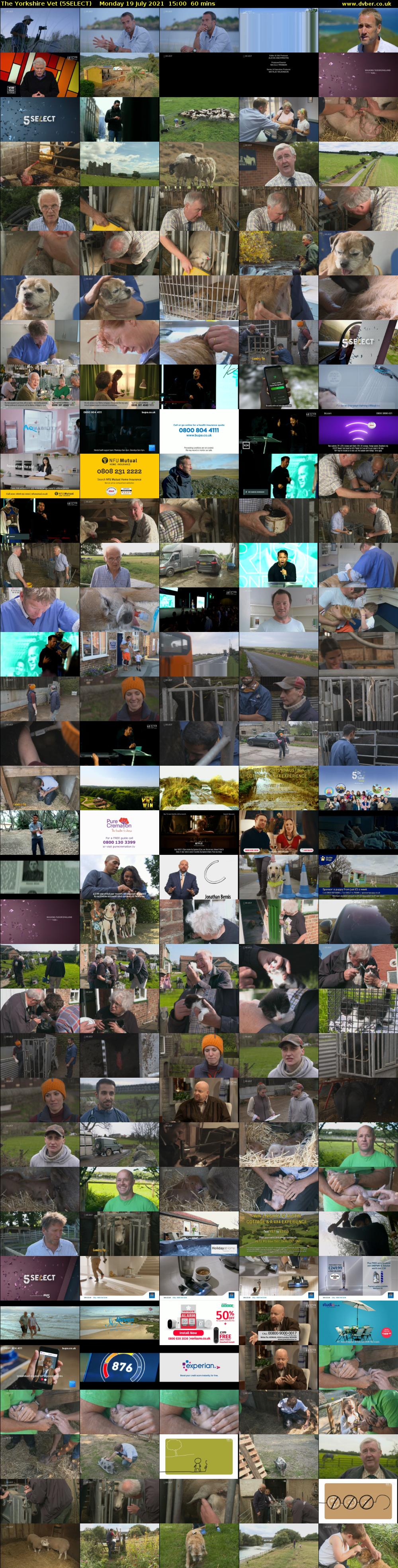 The Yorkshire Vet (5SELECT) Monday 19 July 2021 15:00 - 16:00