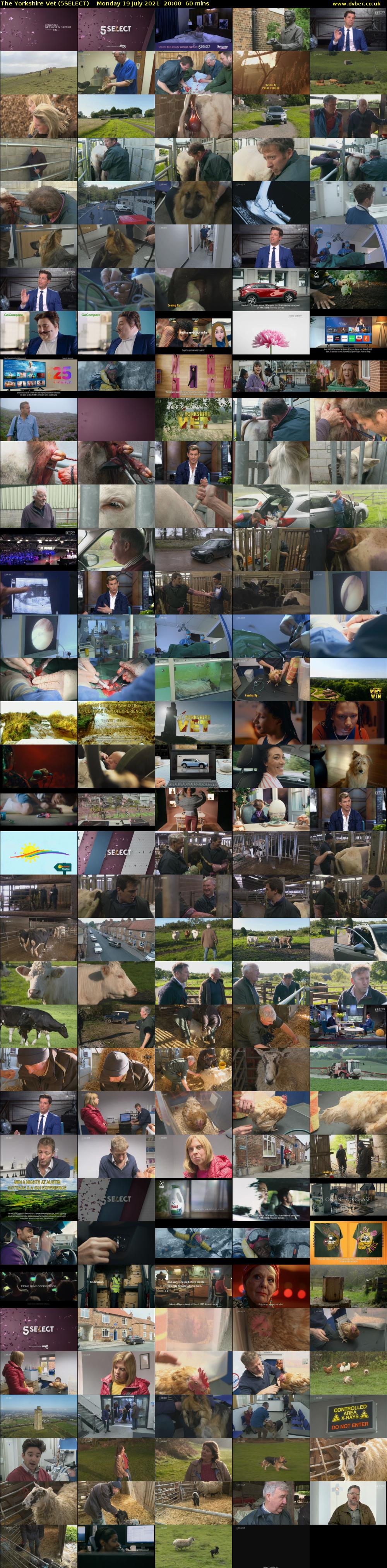 The Yorkshire Vet (5SELECT) Monday 19 July 2021 20:00 - 21:00