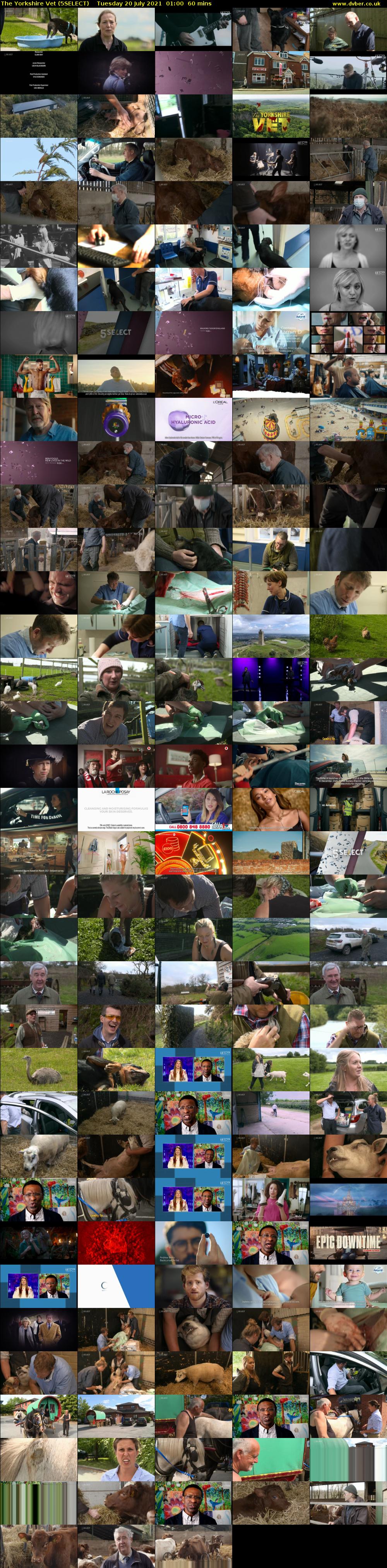 The Yorkshire Vet (5SELECT) Tuesday 20 July 2021 01:00 - 02:00
