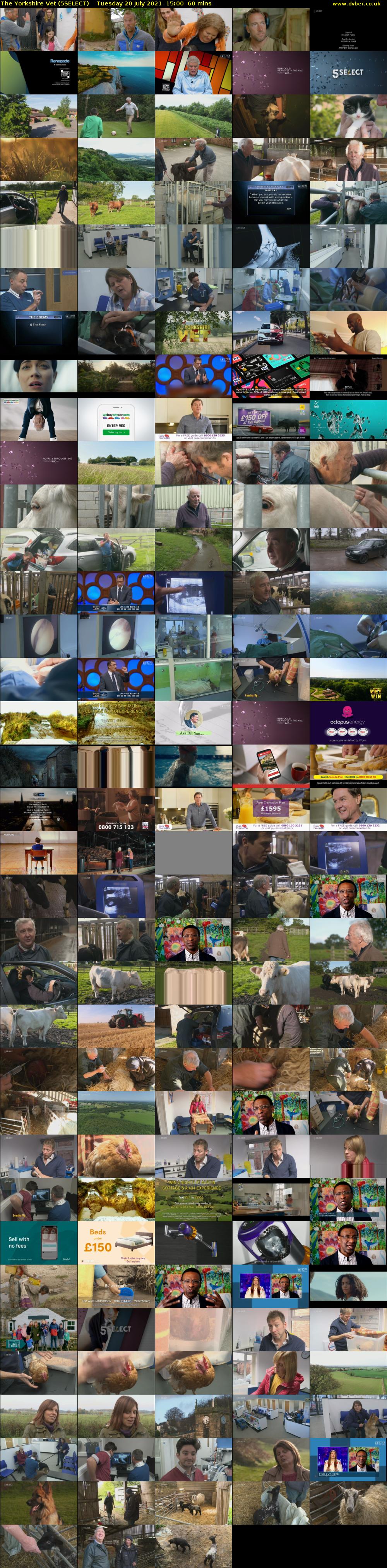 The Yorkshire Vet (5SELECT) Tuesday 20 July 2021 15:00 - 16:00