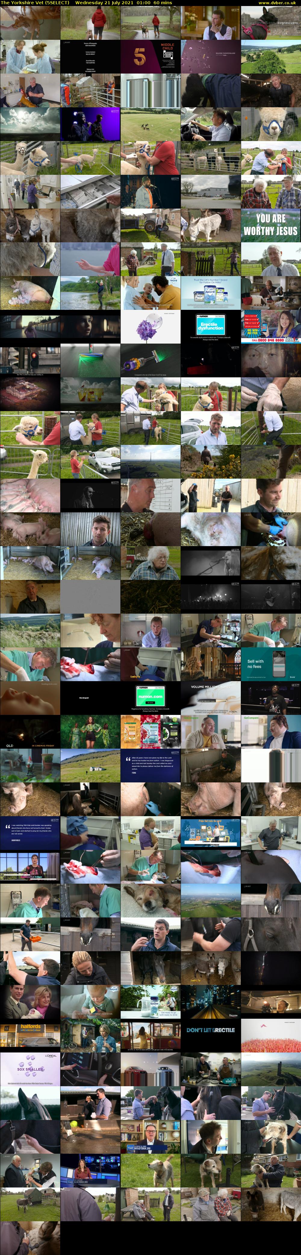 The Yorkshire Vet (5SELECT) Wednesday 21 July 2021 01:00 - 02:00