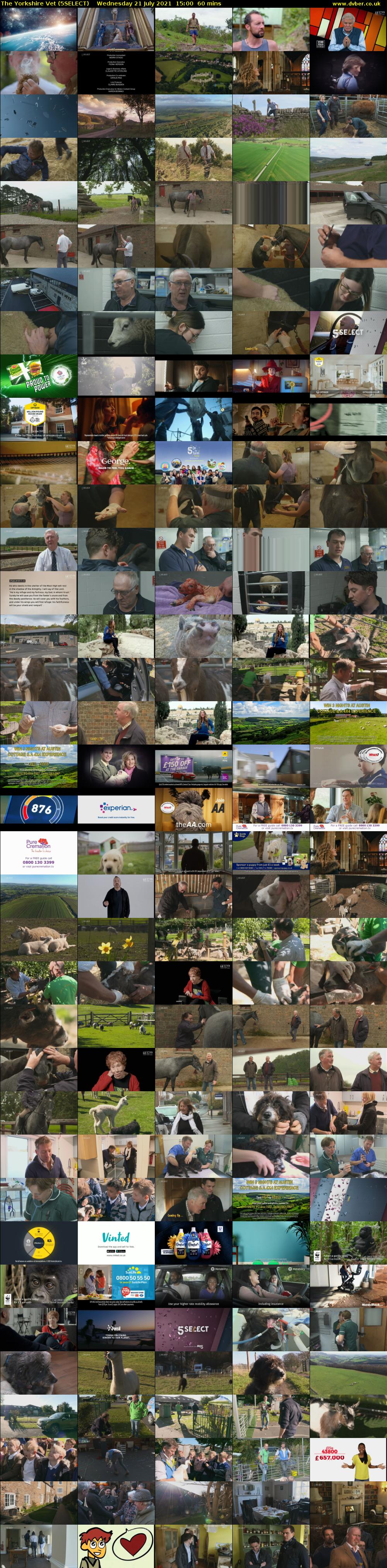 The Yorkshire Vet (5SELECT) Wednesday 21 July 2021 15:00 - 16:00