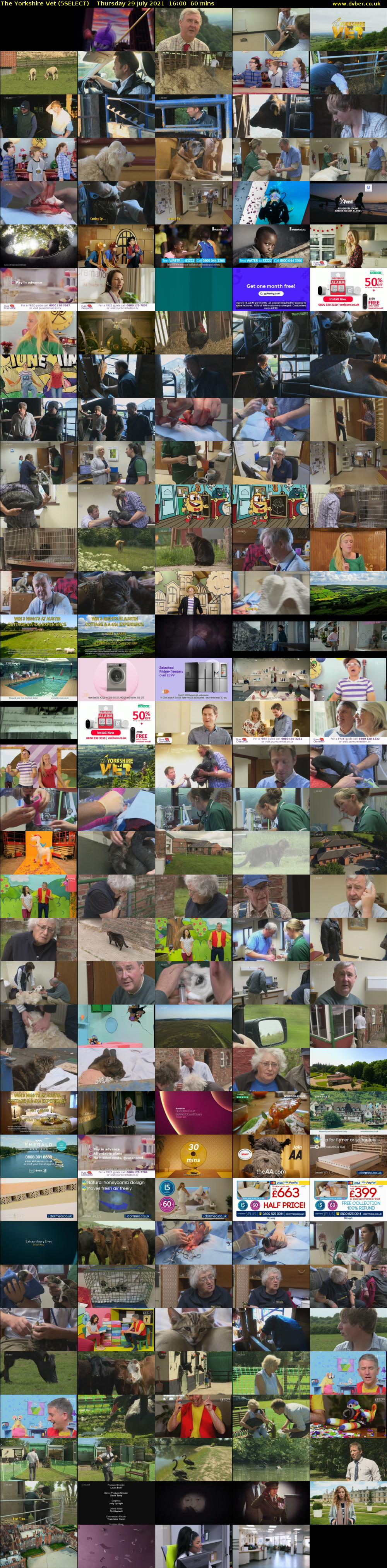The Yorkshire Vet (5SELECT) Thursday 29 July 2021 16:00 - 17:00