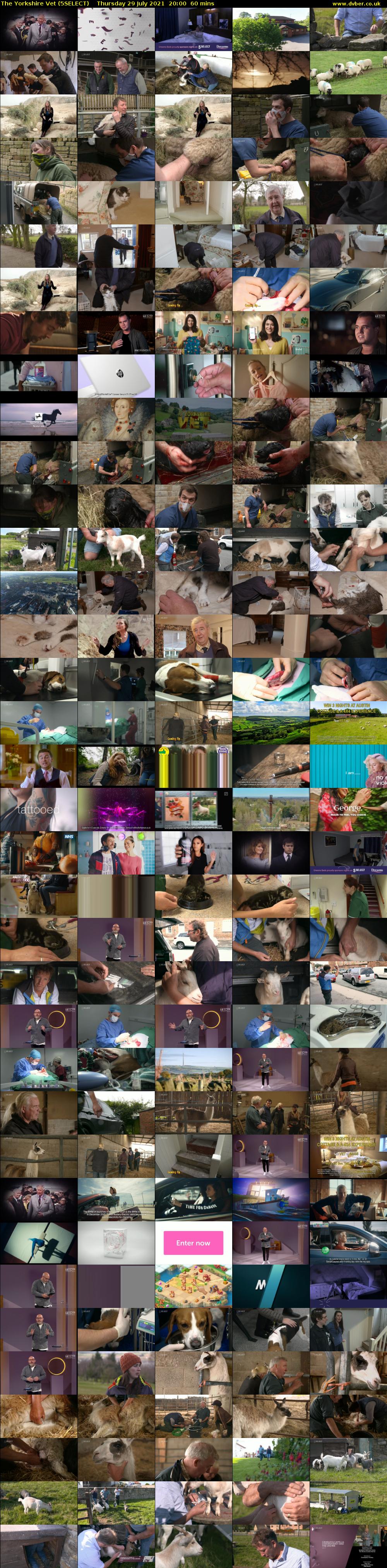 The Yorkshire Vet (5SELECT) Thursday 29 July 2021 20:00 - 21:00