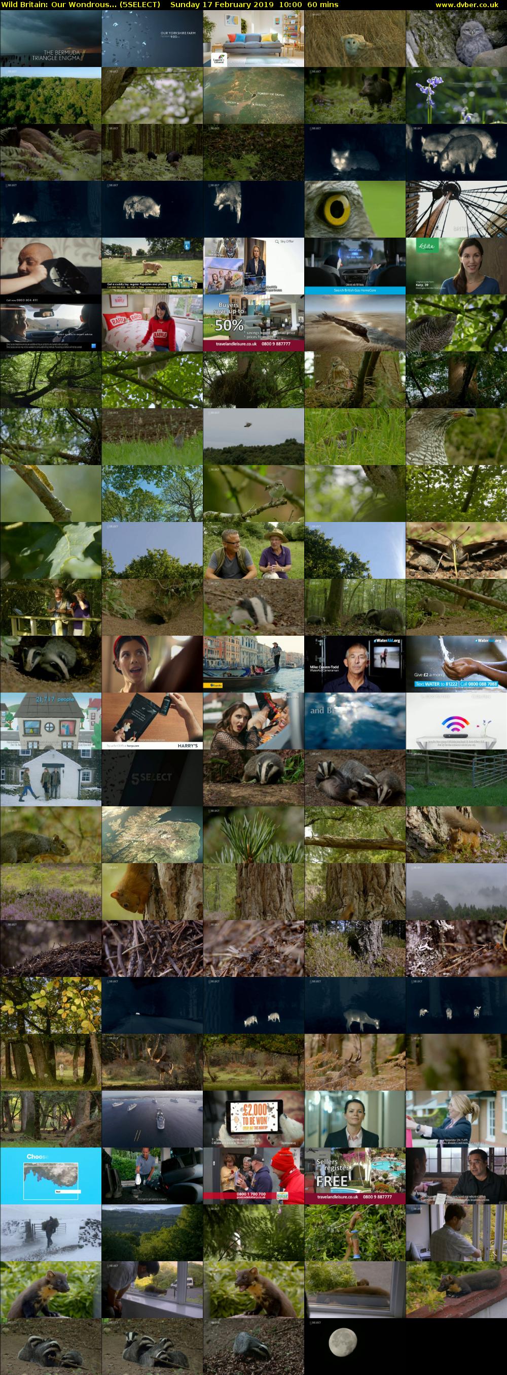 Wild Britain: Our Wondrous... (5SELECT) Sunday 17 February 2019 10:00 - 11:00