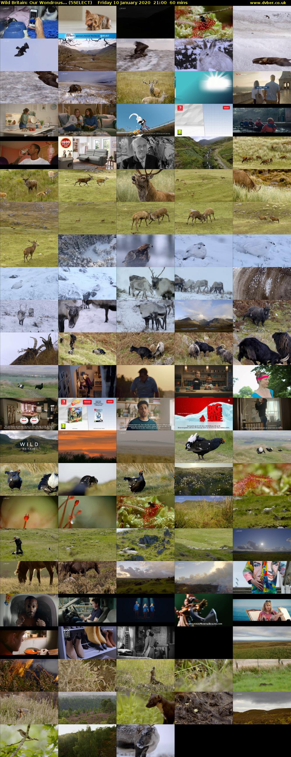 Wild Britain: Our Wondrous... (5SELECT) Friday 10 January 2020 21:00 - 22:00