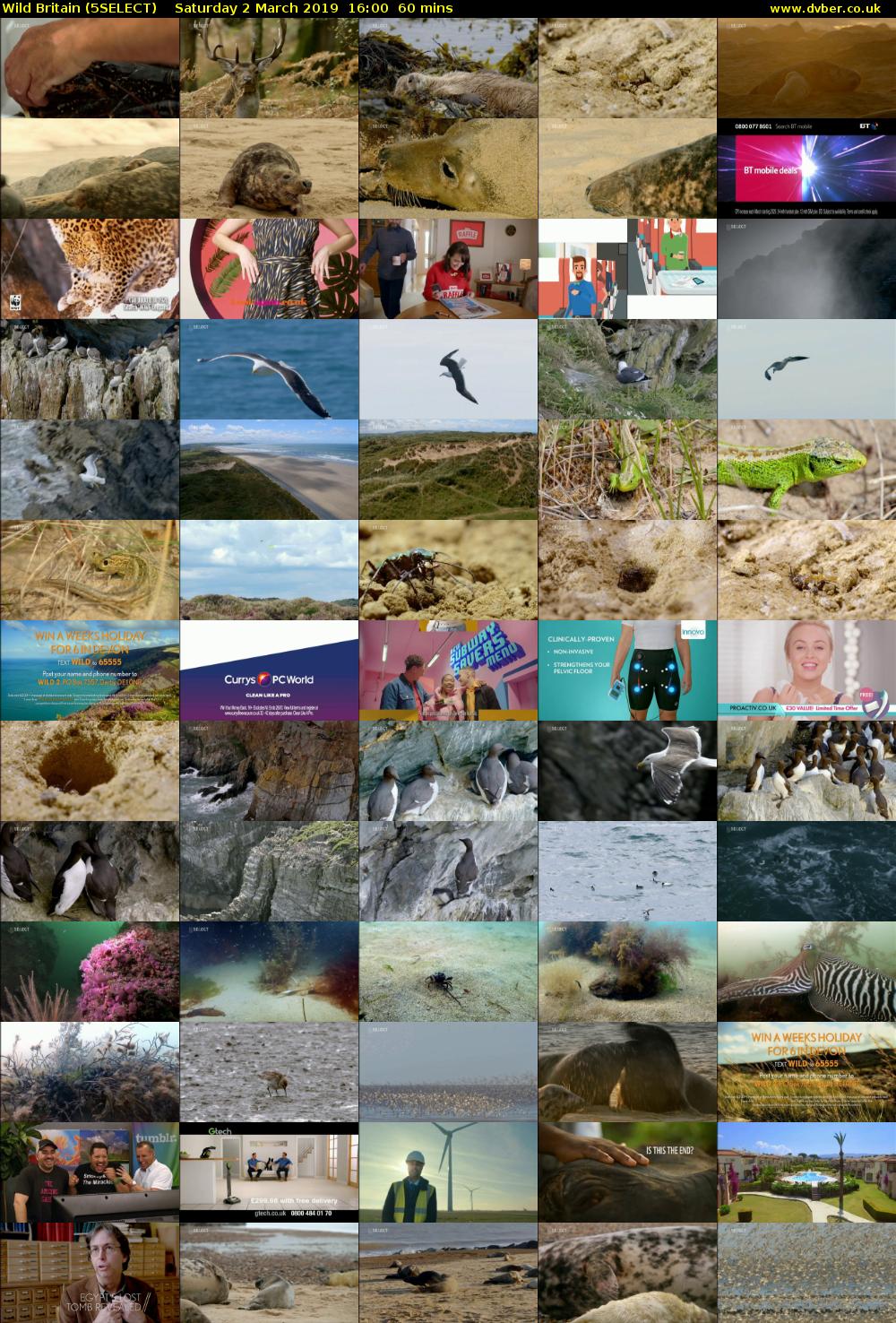 Wild Britain (5SELECT) Saturday 2 March 2019 16:00 - 17:00