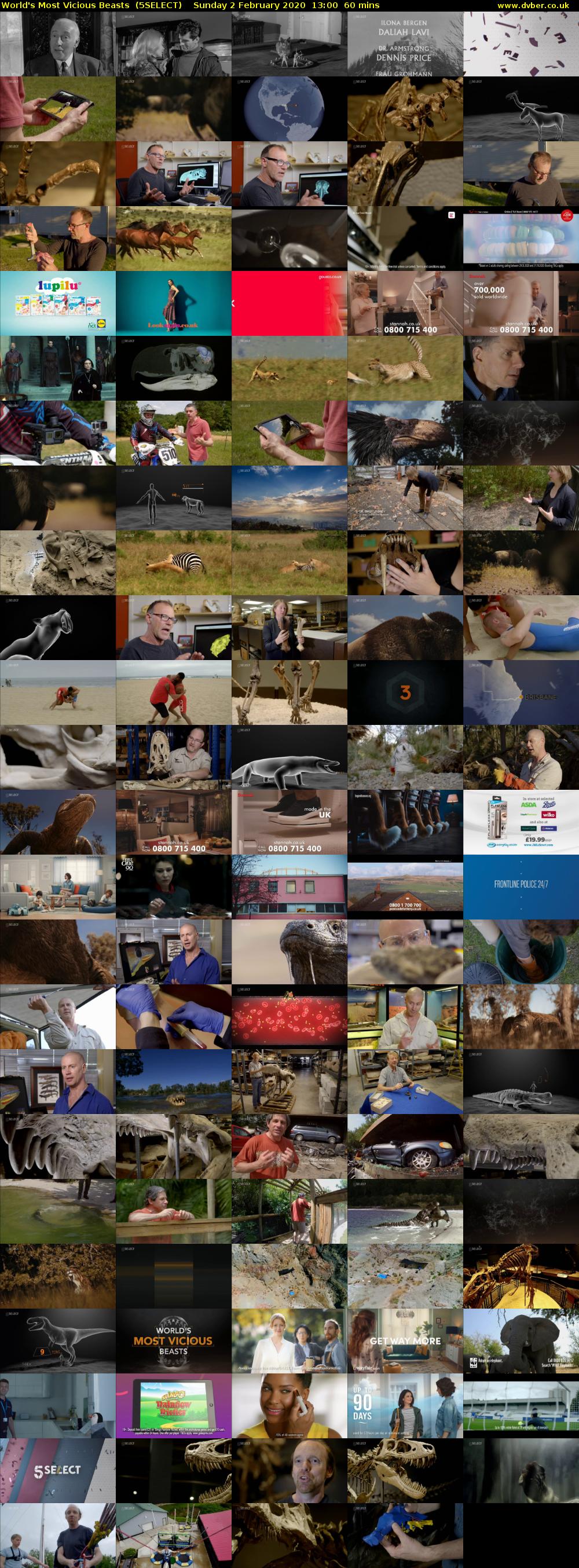 World's Most Vicious Beasts  (5SELECT) Sunday 2 February 2020 13:00 - 14:00