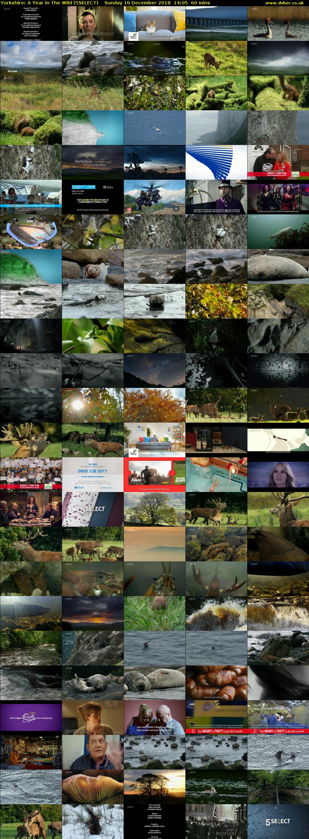 Yorkshire: A Year in The Wild (5SELECT) Sunday 16 December 2018 14:05 - 15:05