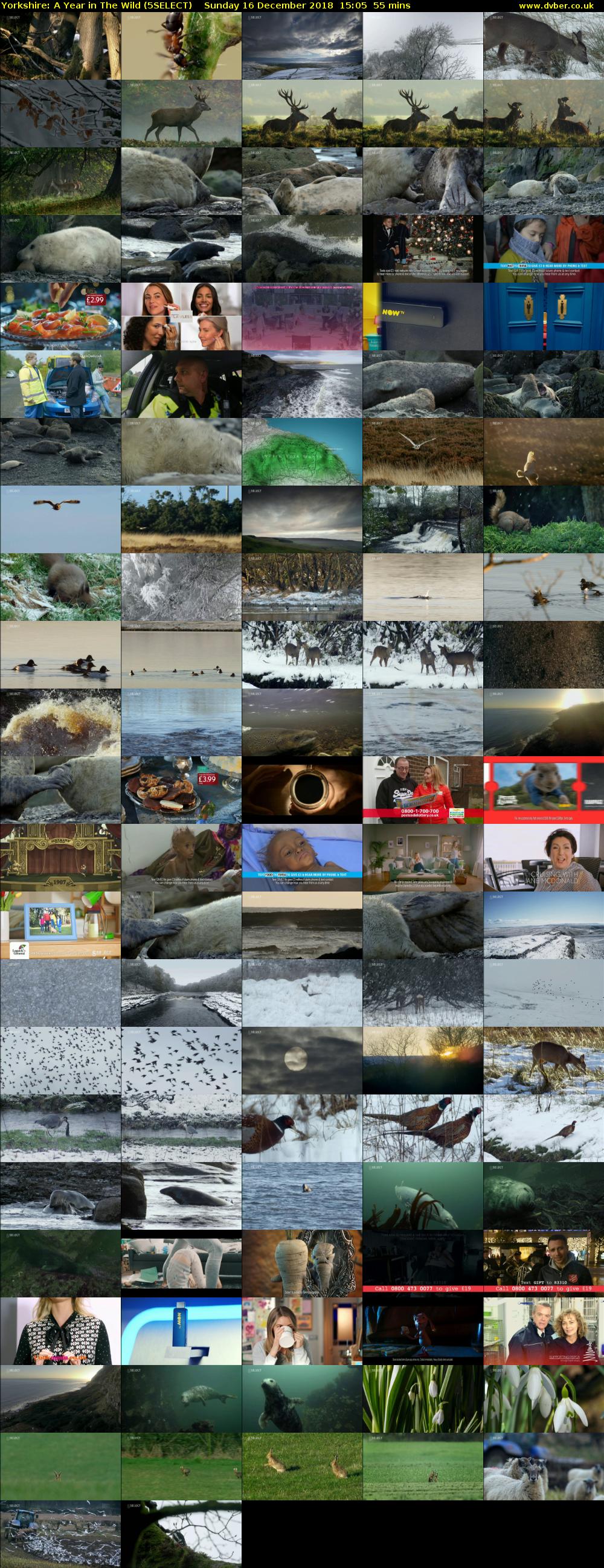 Yorkshire: A Year in The Wild (5SELECT) Sunday 16 December 2018 15:05 - 16:00