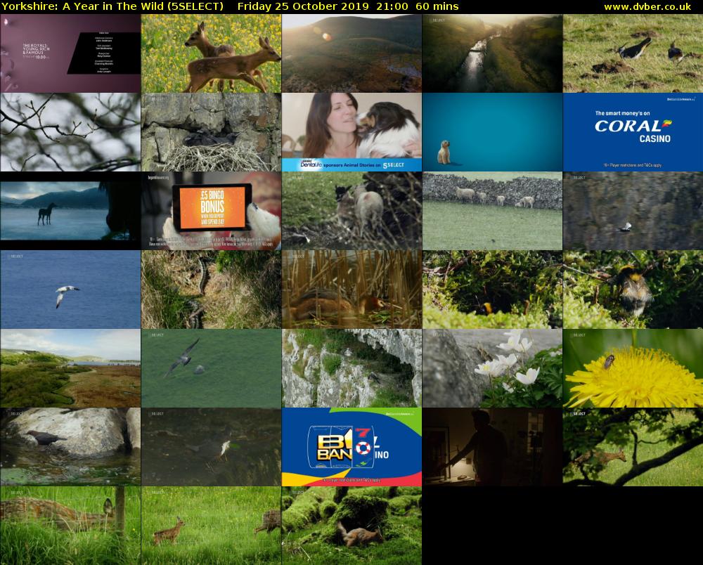 Yorkshire: A Year in The Wild (5SELECT) Friday 25 October 2019 21:00 - 22:00
