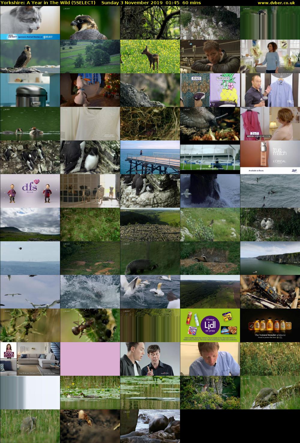 Yorkshire: A Year in The Wild (5SELECT) Sunday 3 November 2019 01:45 - 02:45