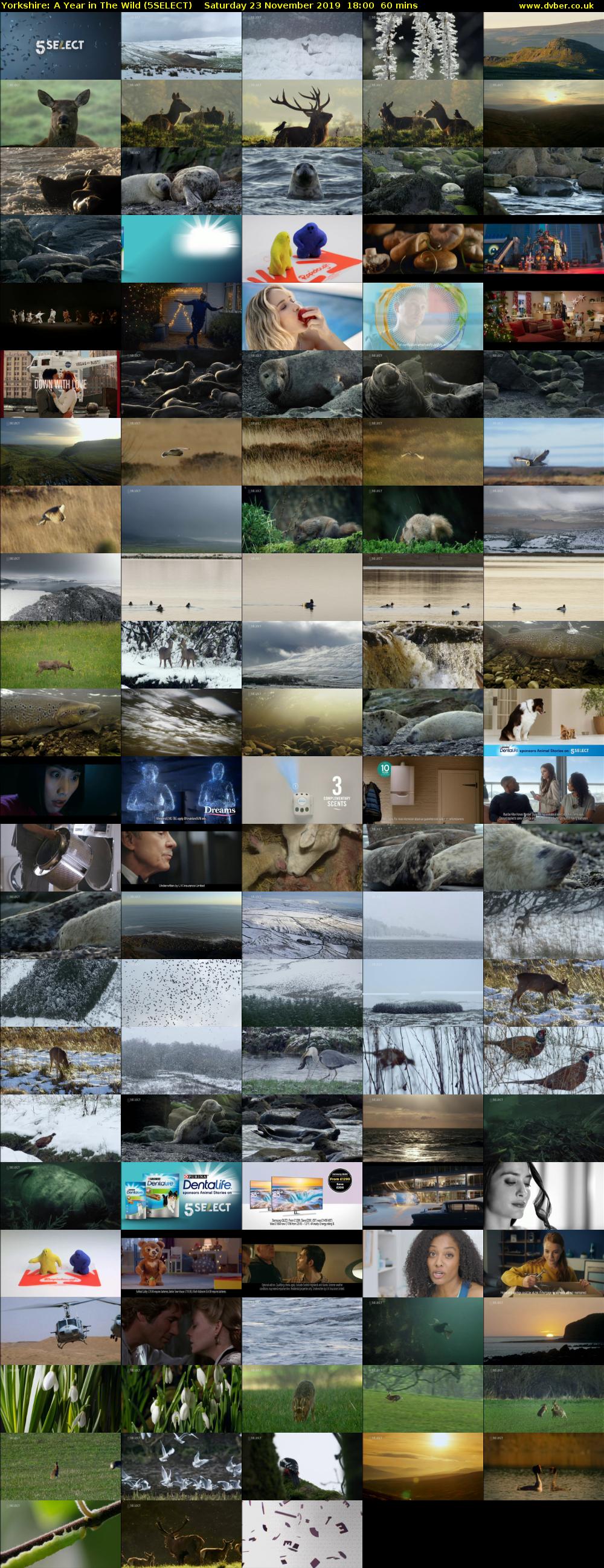 Yorkshire: A Year in The Wild (5SELECT) Saturday 23 November 2019 18:00 - 19:00