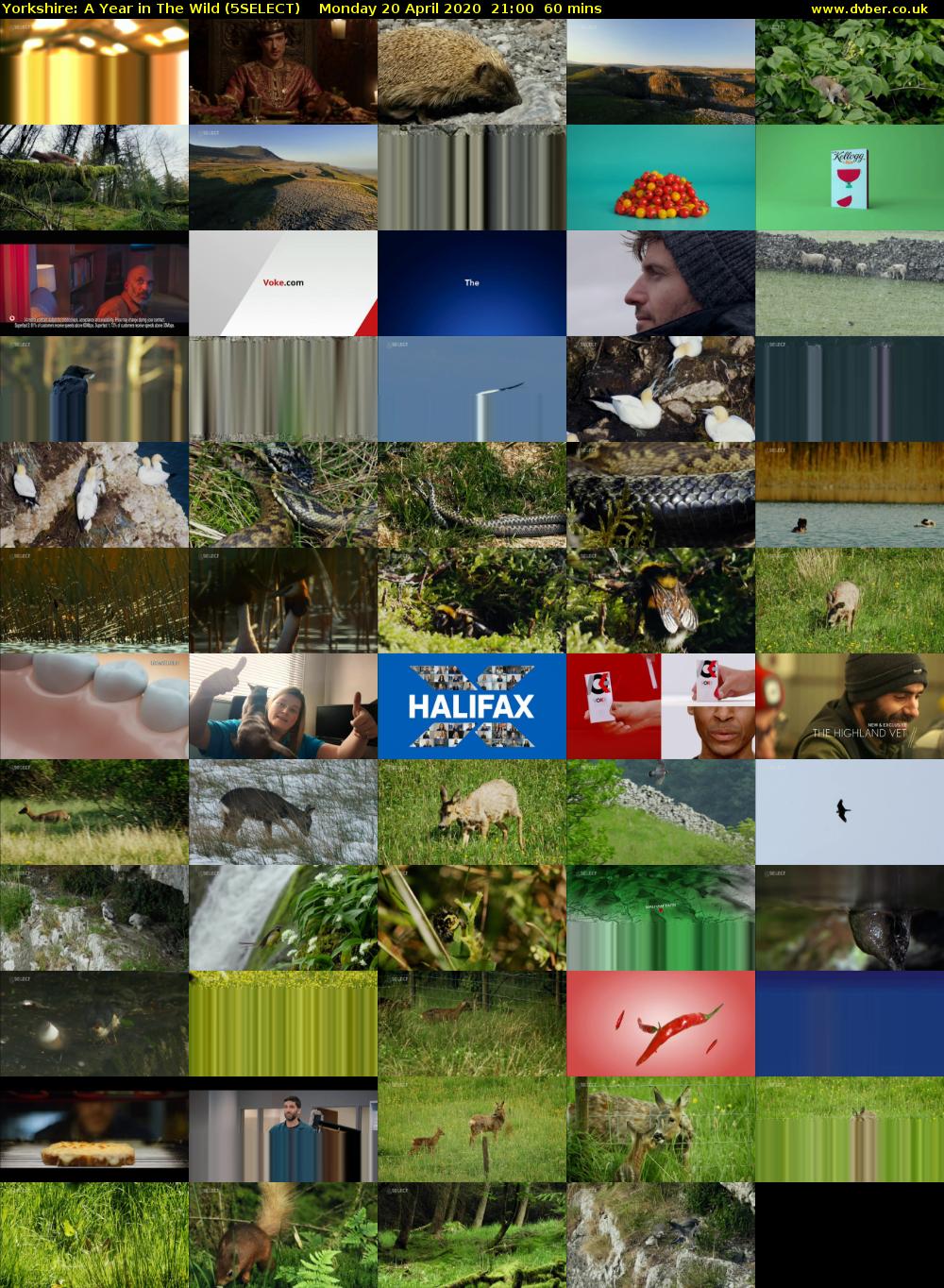 Yorkshire: A Year in The Wild (5SELECT) Monday 20 April 2020 21:00 - 22:00