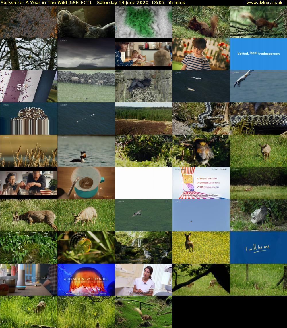 Yorkshire: A Year in The Wild (5SELECT) Saturday 13 June 2020 13:05 - 14:00