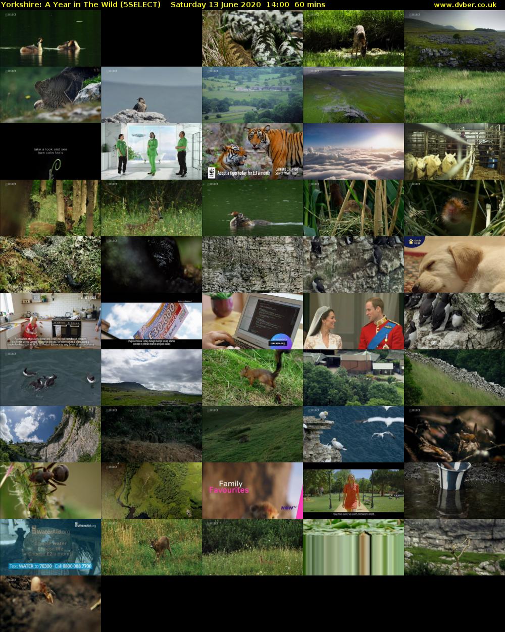 Yorkshire: A Year in The Wild (5SELECT) Saturday 13 June 2020 14:00 - 15:00