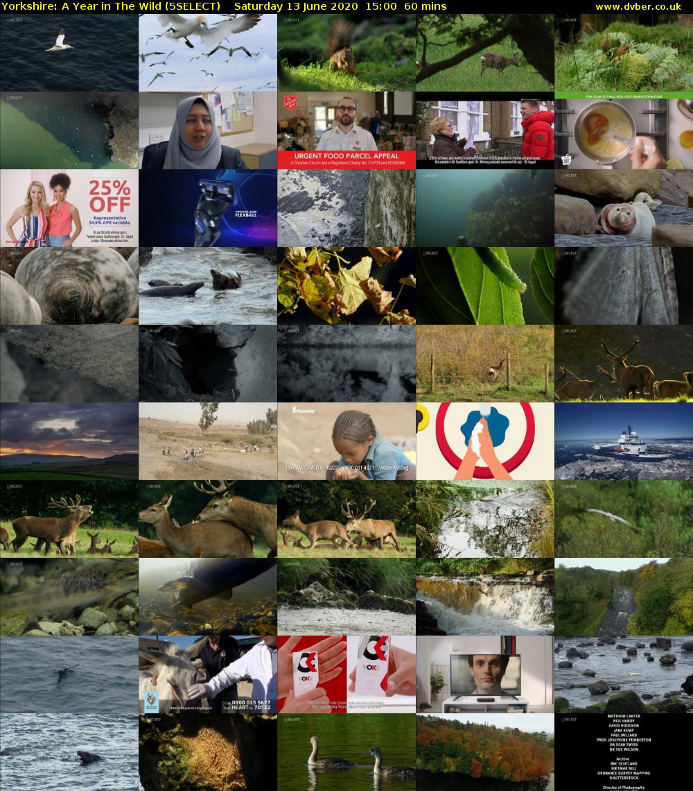 Yorkshire: A Year in The Wild (5SELECT) Saturday 13 June 2020 15:00 - 16:00