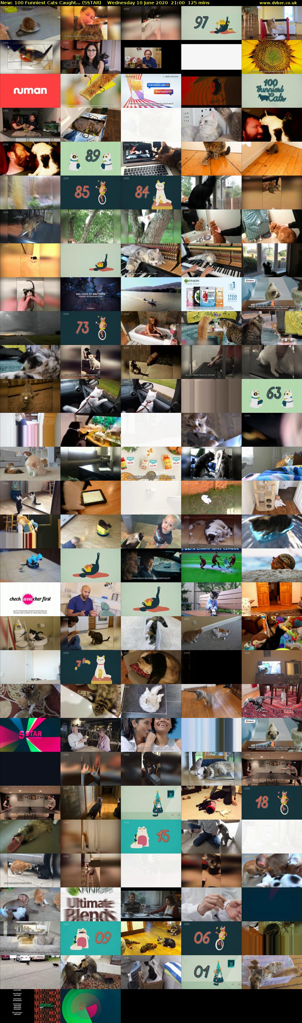 100 Funniest Cats Caught... (5STAR) Wednesday 10 June 2020 21:00 - 23:05