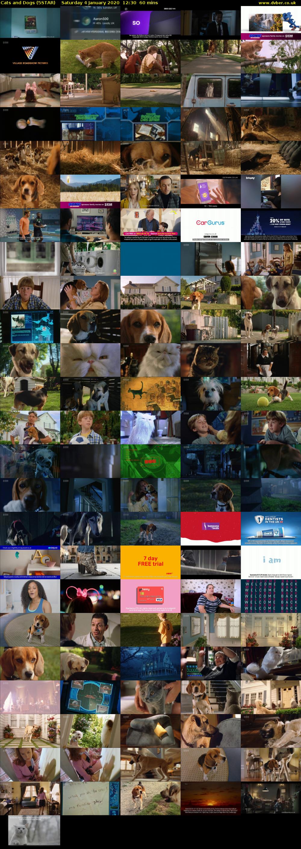 Cats and Dogs (5STAR) Saturday 4 January 2020 12:30 - 13:30