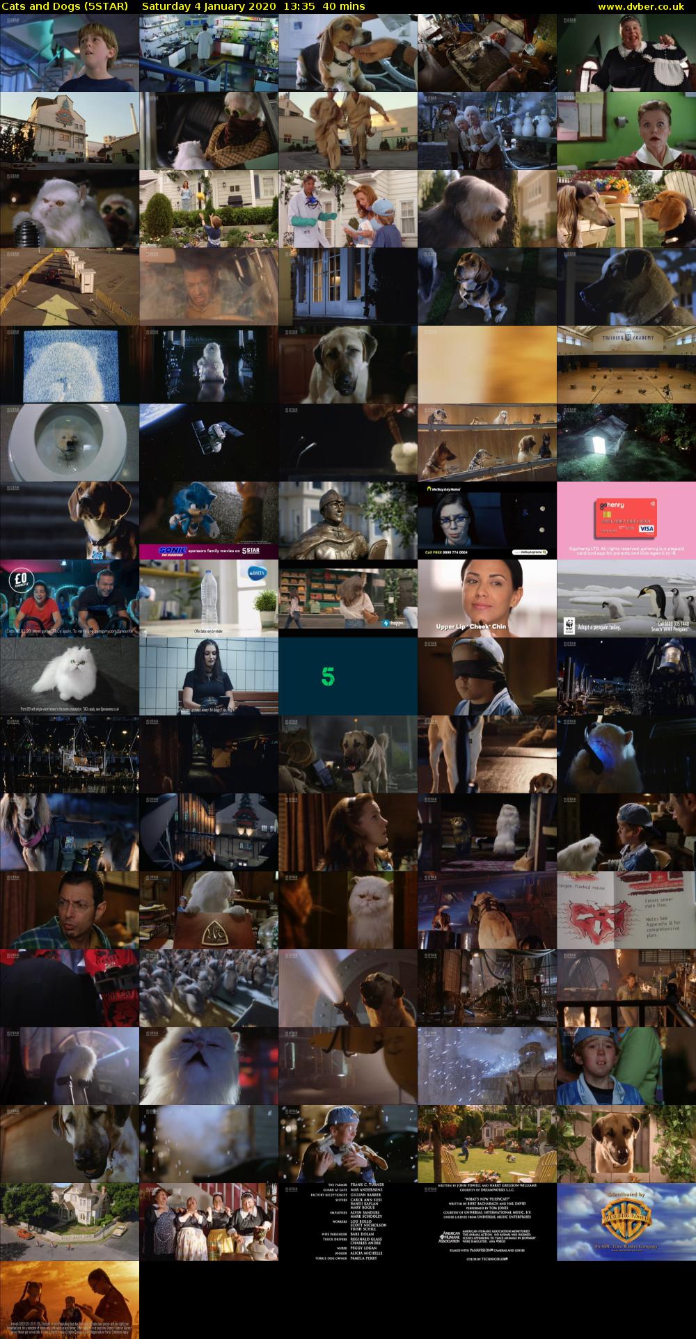 Cats and Dogs (5STAR) Saturday 4 January 2020 13:35 - 14:15