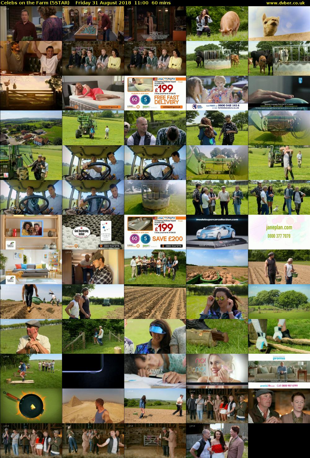 Celebs on the Farm (5STAR) Friday 31 August 2018 11:00 - 12:00