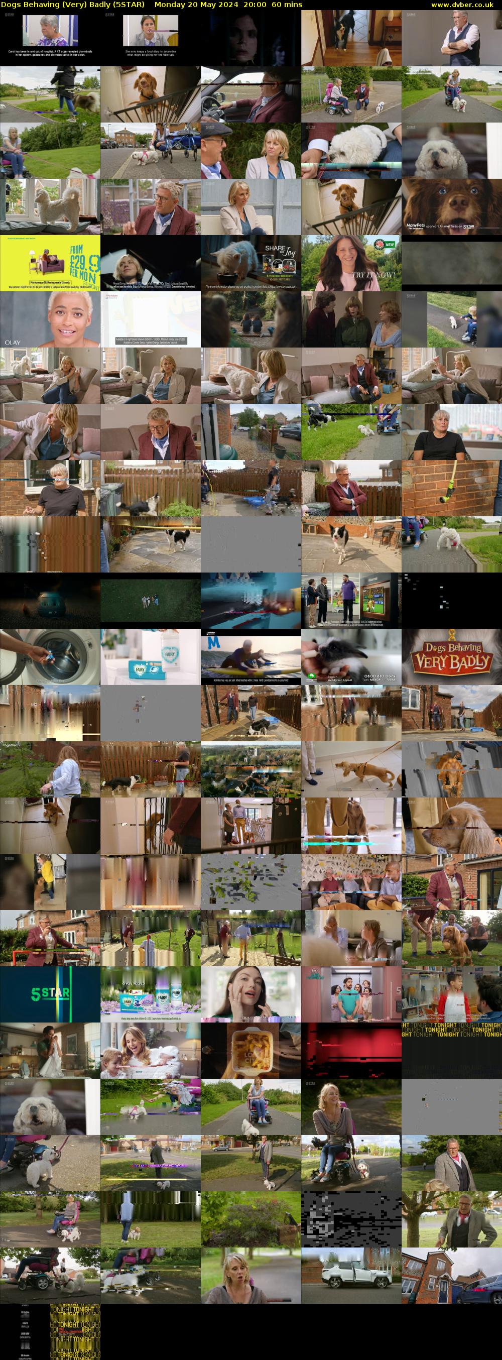 Dogs Behaving (Very) Badly (5STAR) Monday 20 May 2024 20:00 - 21:00
