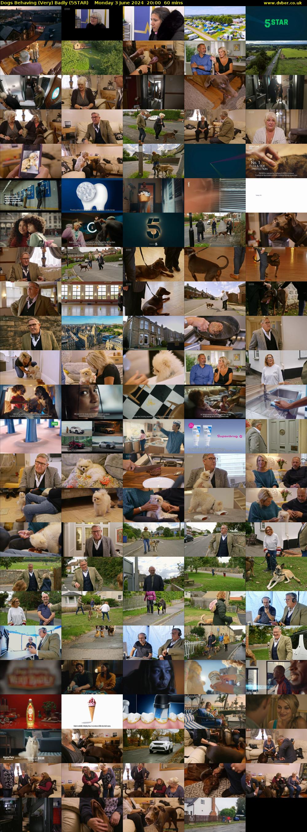 Dogs Behaving (Very) Badly (5STAR) Monday 3 June 2024 20:00 - 21:00