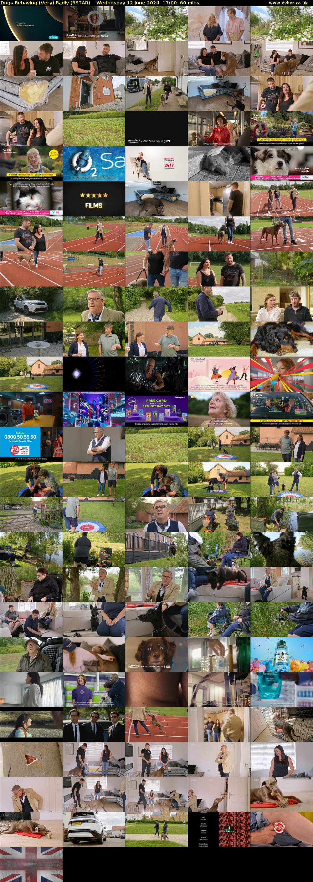 Dogs Behaving (Very) Badly (5STAR) Wednesday 12 June 2024 17:00 - 18:00